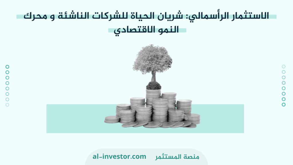 الاستثمار الرأسمالي شريان الحياة للشركات الناشئة و محرك النمو الاقتصادي