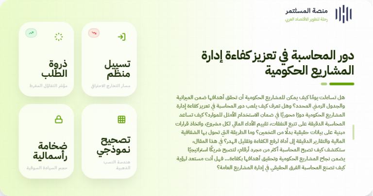 accounting for government project efficiency