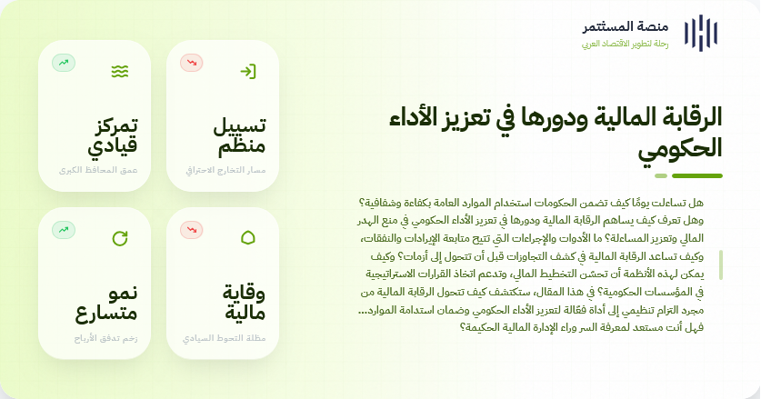 الرقابة المالية ودورها في تعزيز الأداء الحكومي