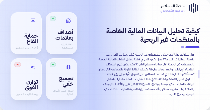 كيفية تحليل البيانات المالية الخاصة بالمنظمات غير الربحية